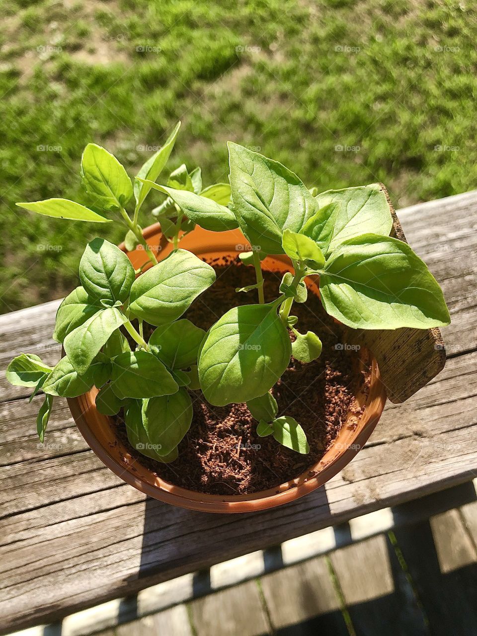 Photography started out as a hobby of mind and has grown into somewhat of a passion. I love sharing my work with others and I love that this platform allows photographers to receive praise and recognition for their work. I hope you enjoy my photos!