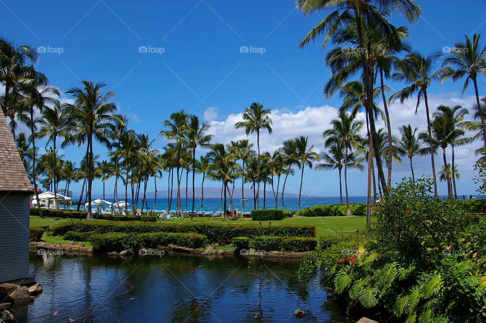 grand wailea resort and spa hawaiian skyline maui hi usa by lgayrose