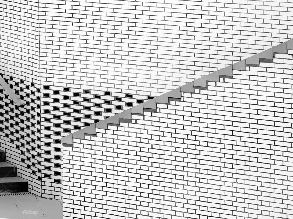 The fluidity of the lines.