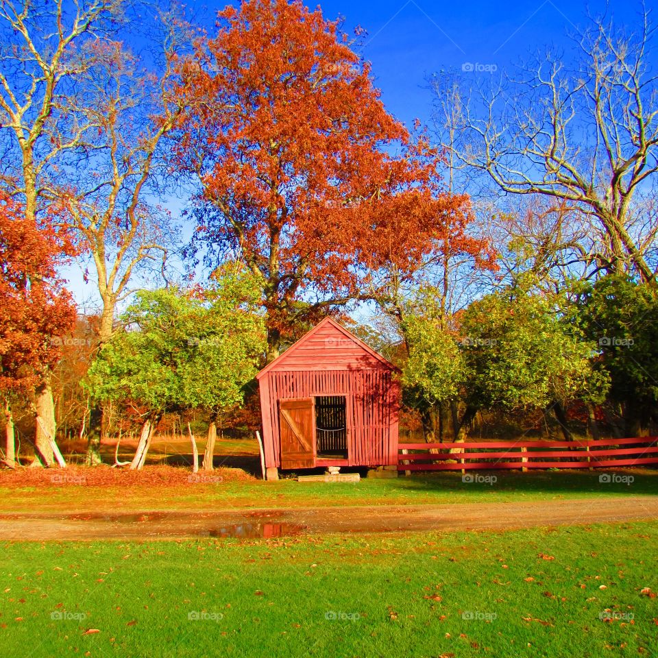 Barns 