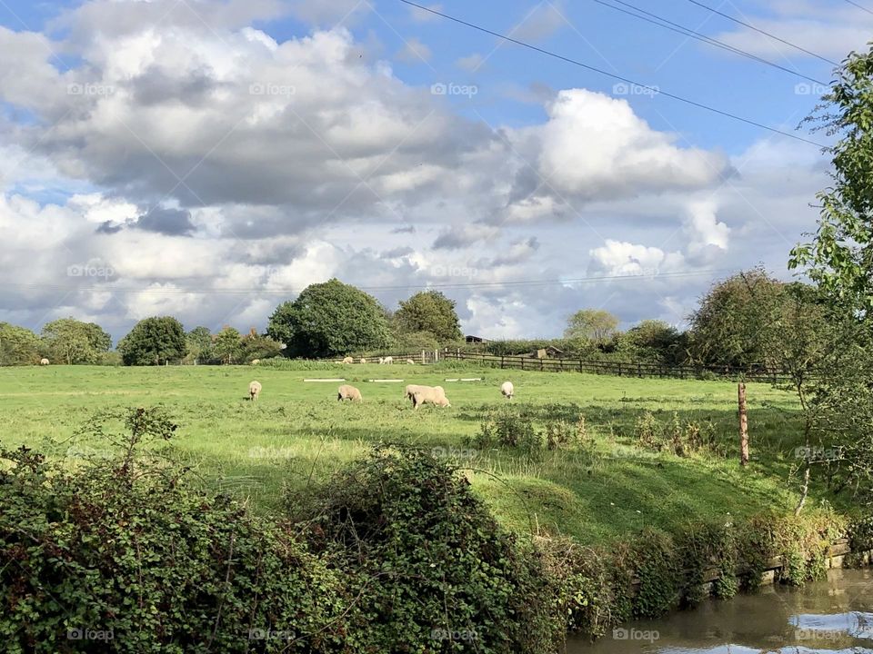 Beautiful late summer sky sunny weather clear clouds narrowboat cruise oxford canal sheep field England English countryside country rural vacation holiday