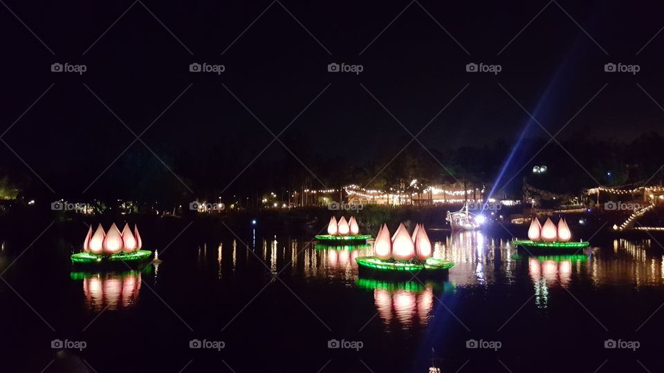 Beautiful flowers light up the night in Discovery River during Rivers of Light at Animal Kingdom at the Walt Disney World Resort in Orlando, Florida.