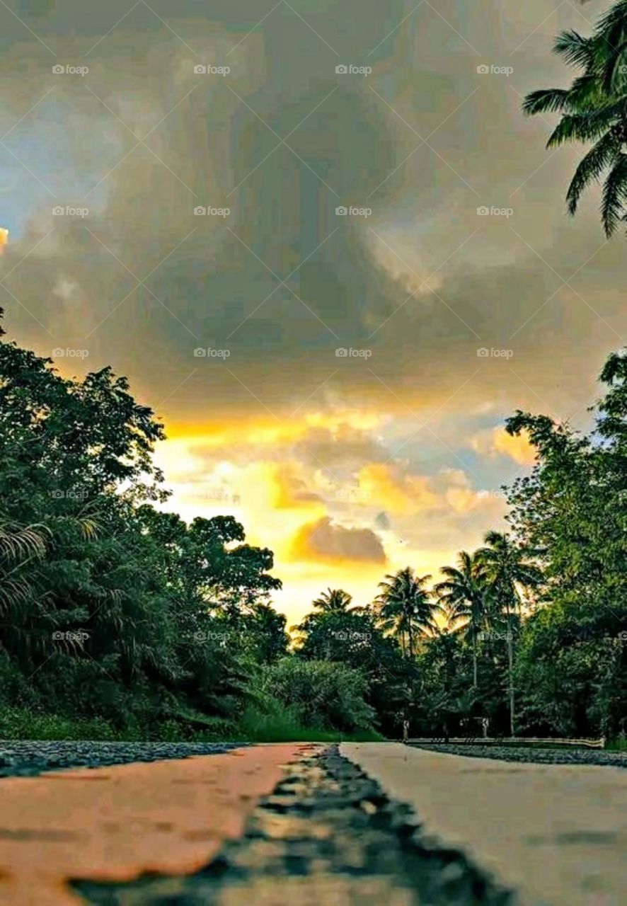 A most beautiful and attractive view in the garden.