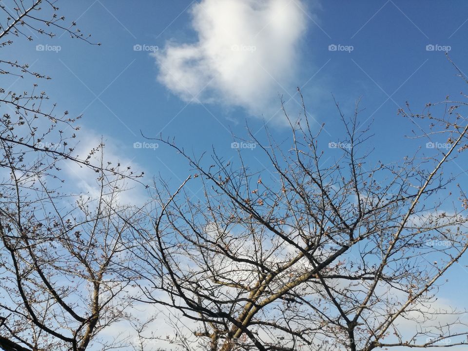 sky