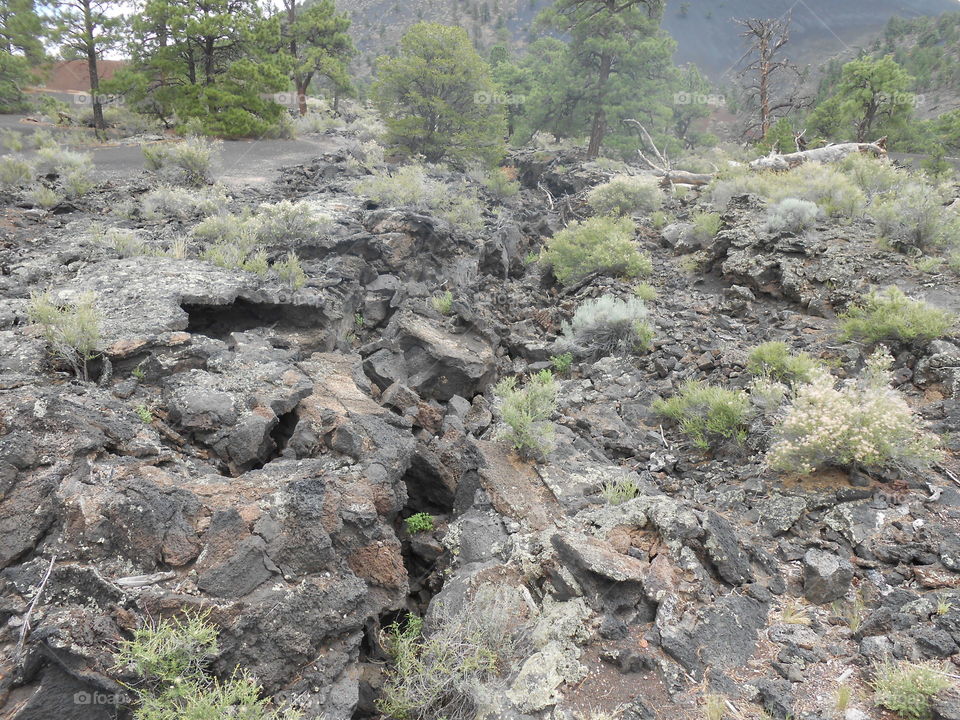 Lava Flow Crevice