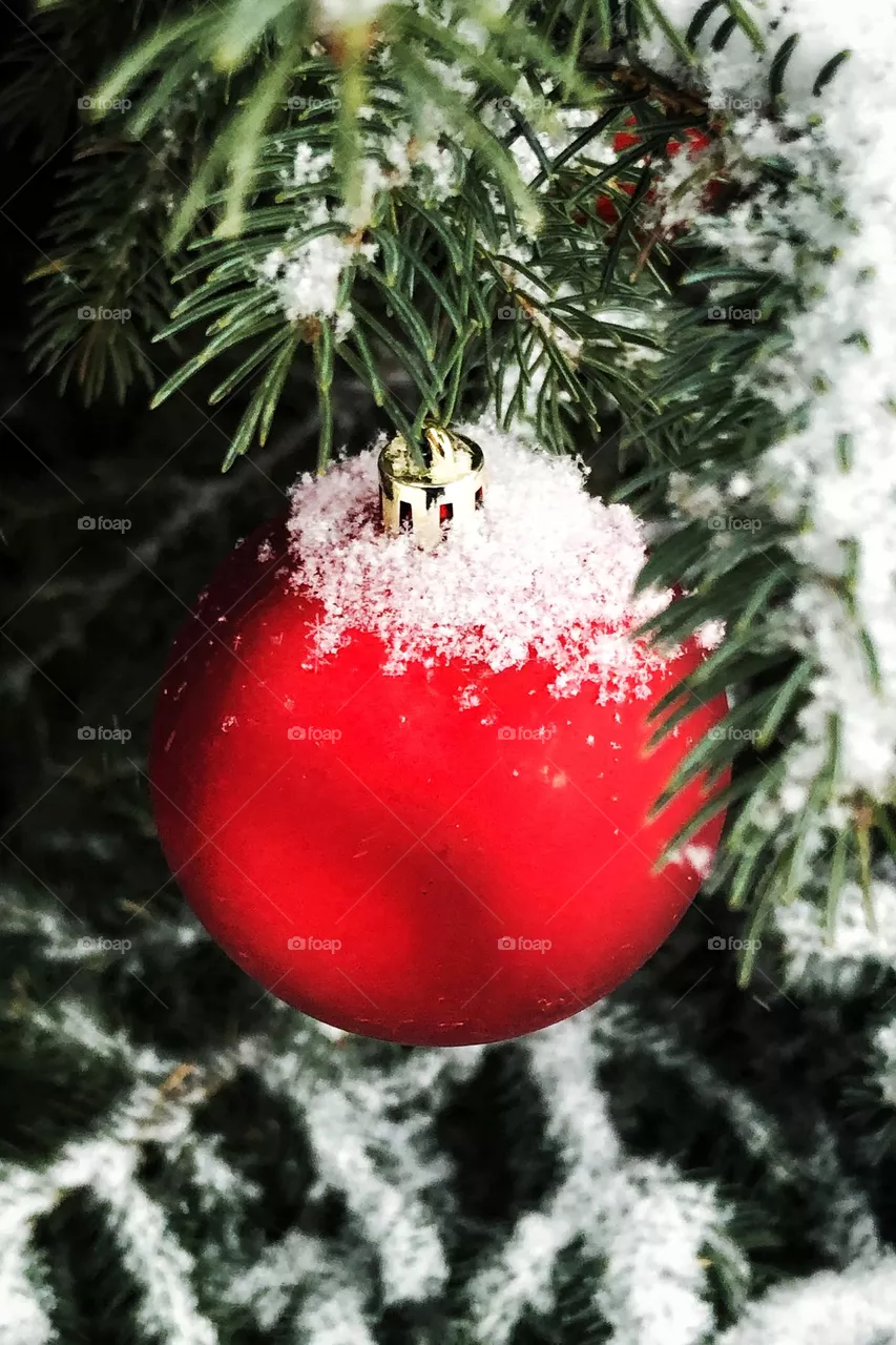 Ornament 