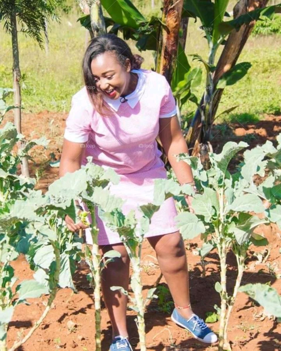 farming in Kenya