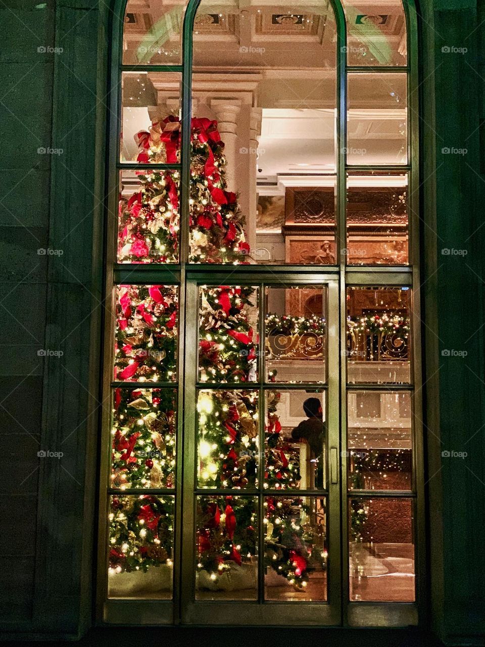 Christmas tree in the window