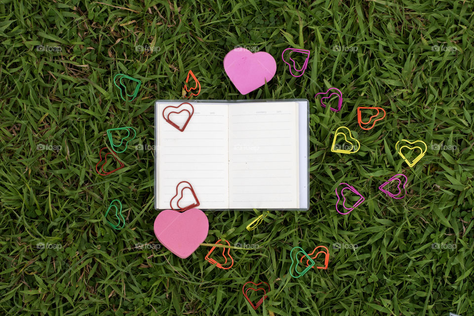book love on the green grass
