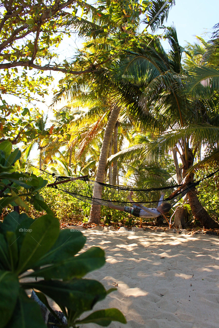 Hammock in Fiji