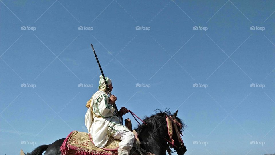  A knight riding a horse in a racing dress