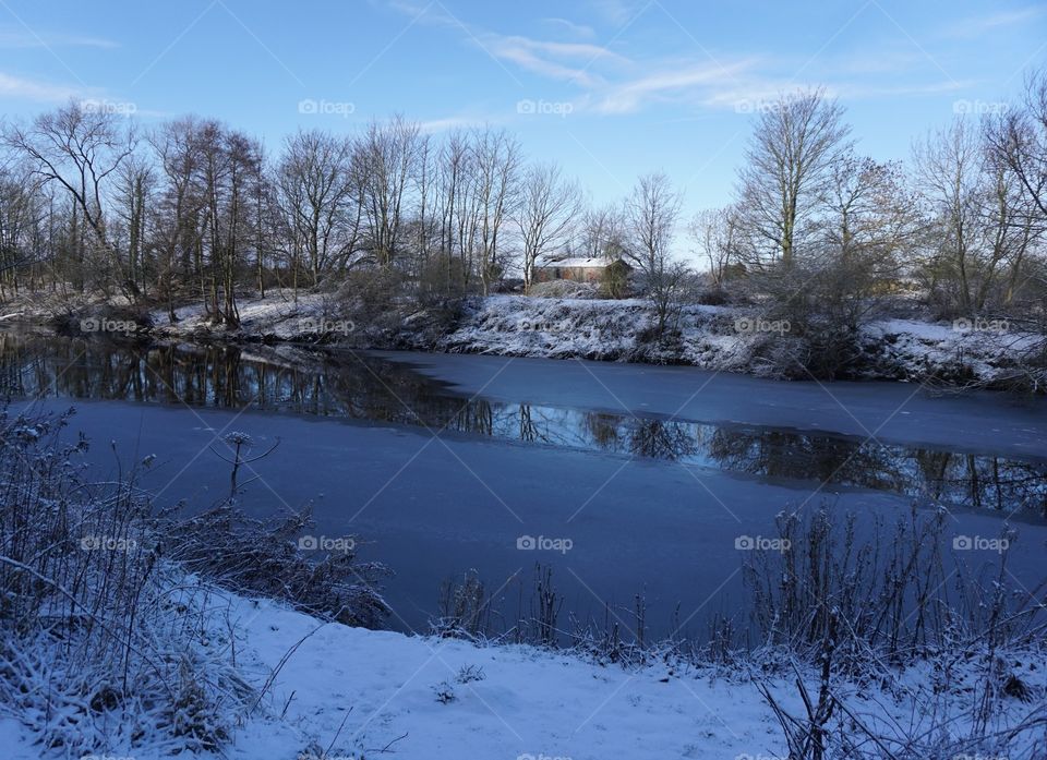 Winter Landscape