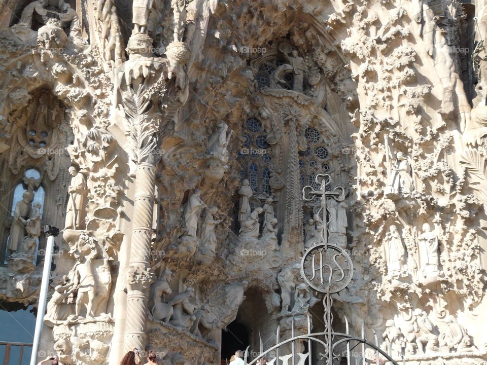 Catherdral of Our Lady of Paris