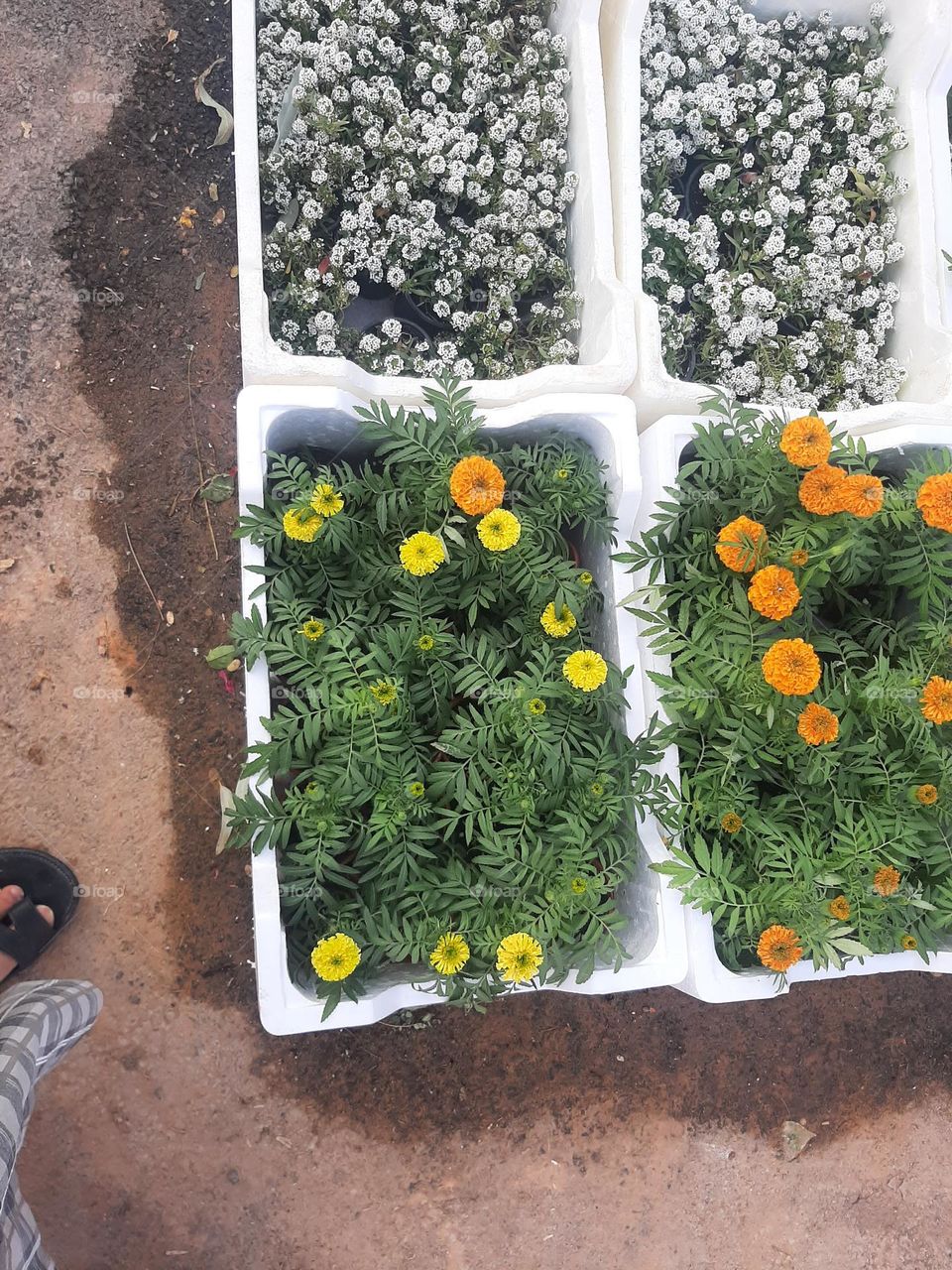 Please make me happy, I am poor, I need your help with support