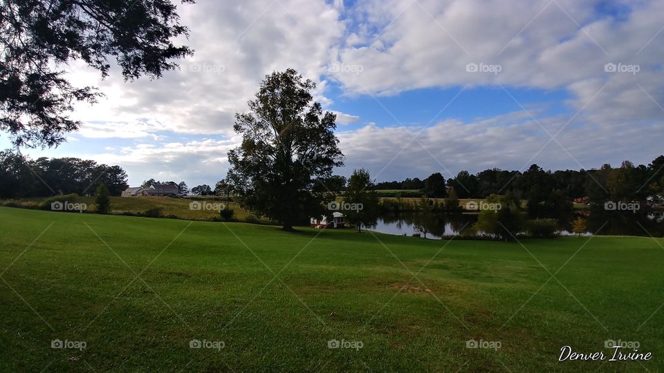 Golf, Tree, Landscape, Grass, No Person