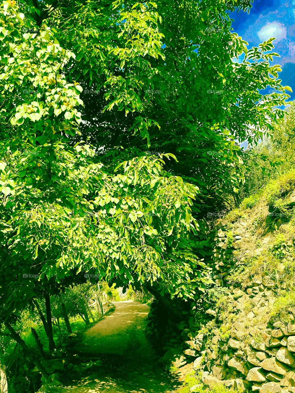 Nature's gateway