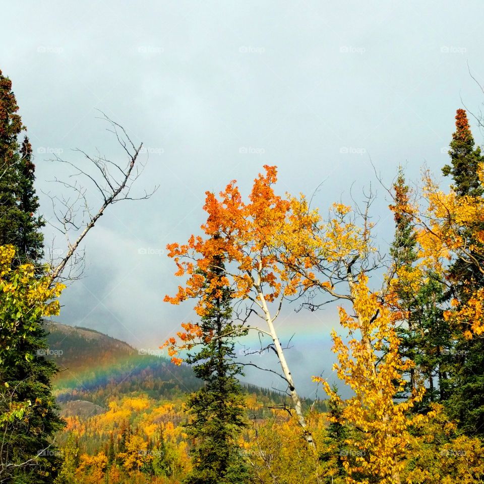 Alaskan fall has arrived