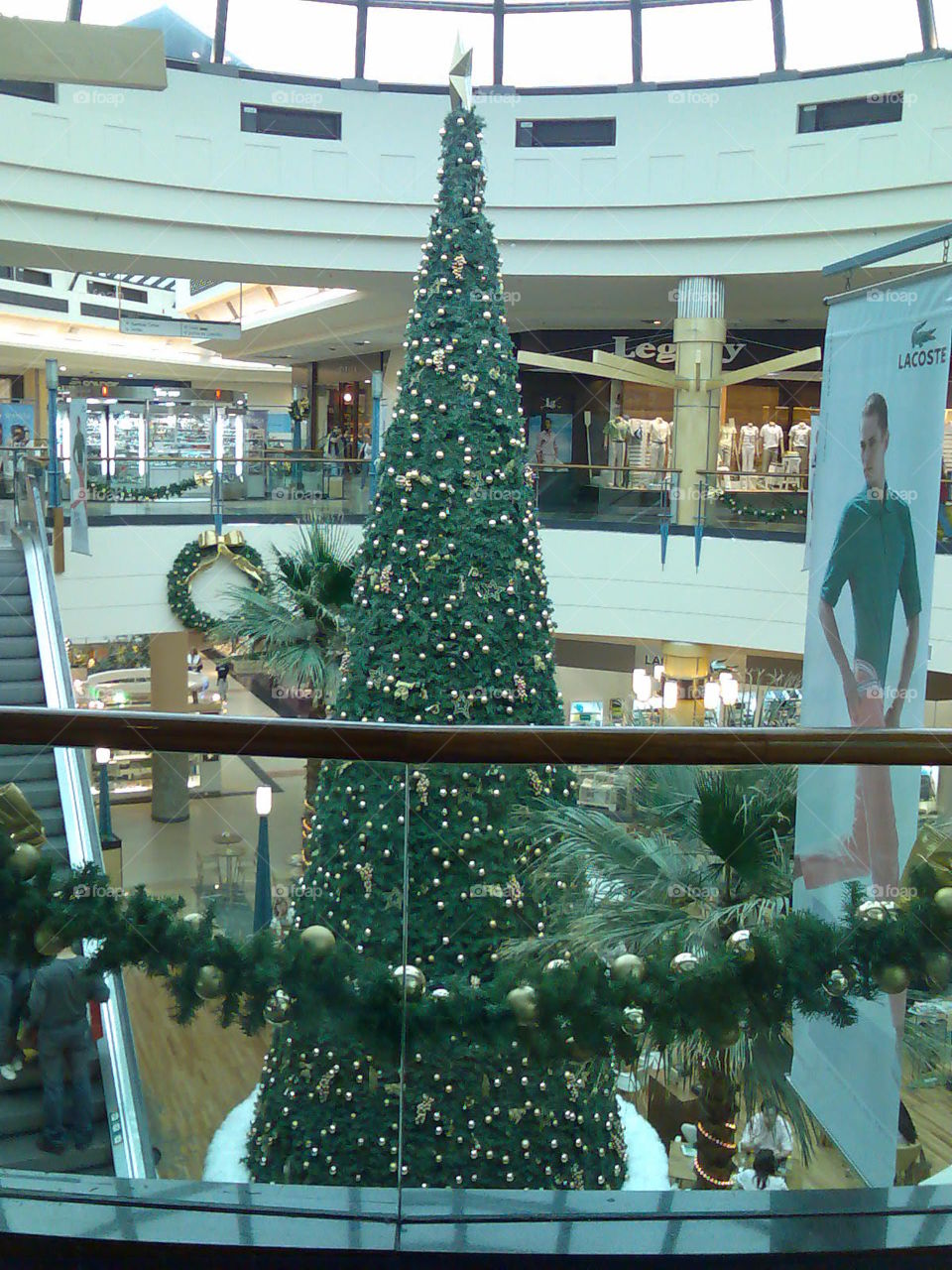 Christmas tree 🎄🎄🎄