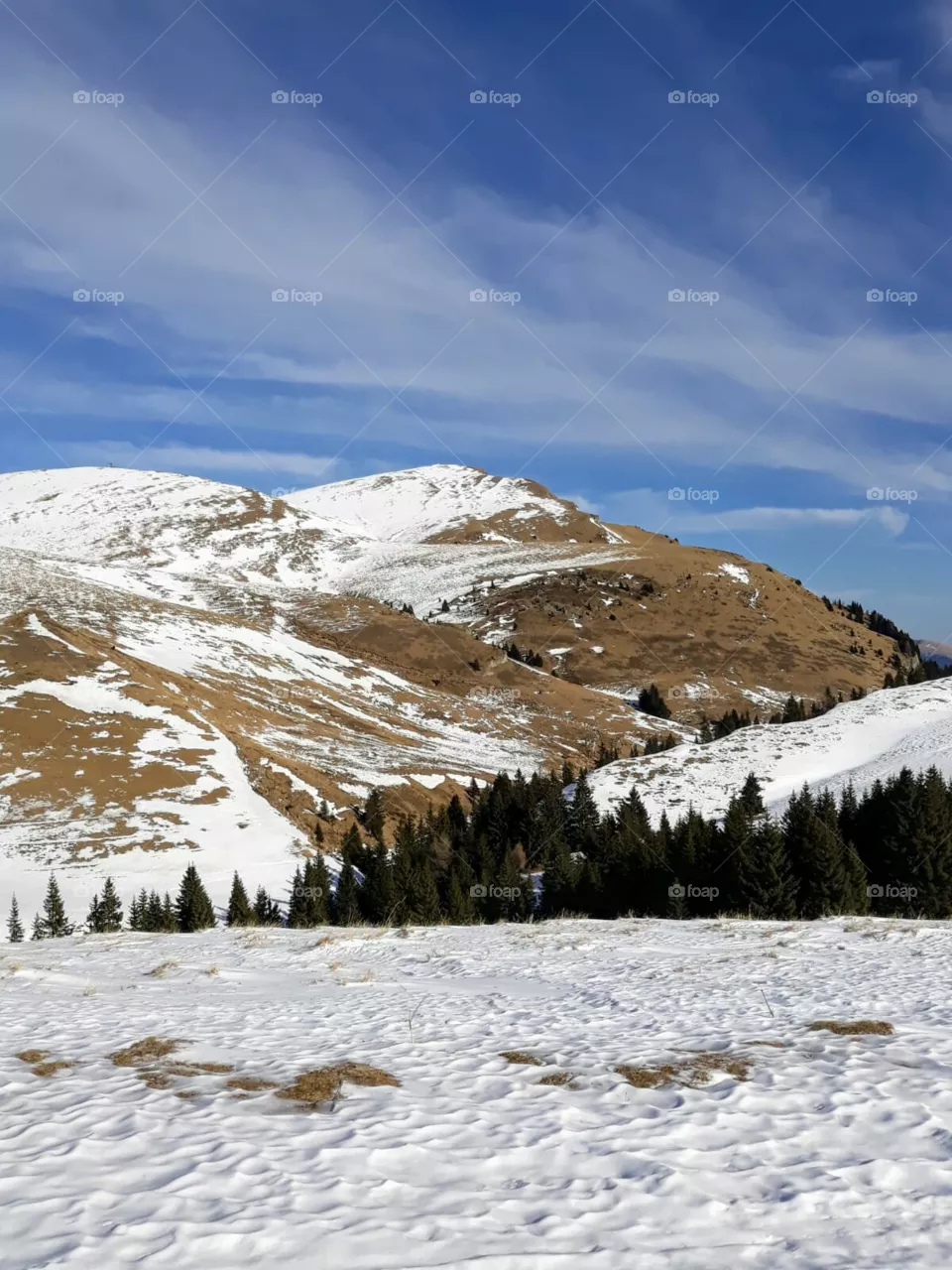 winter
