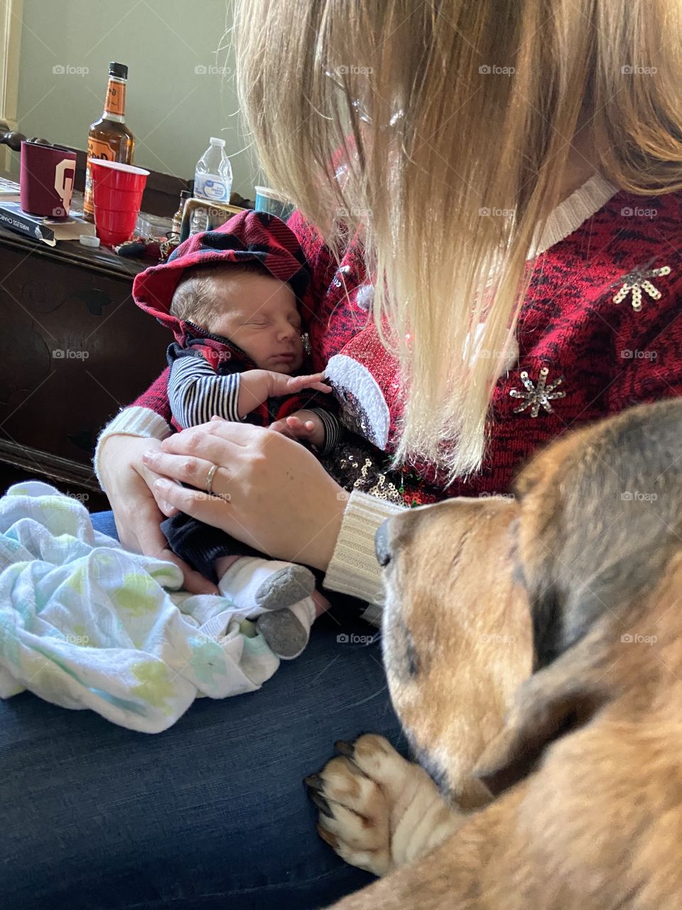 Dog curious about new baby 
