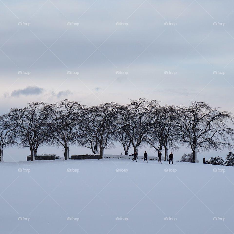 Winter at Skogskyrkogården