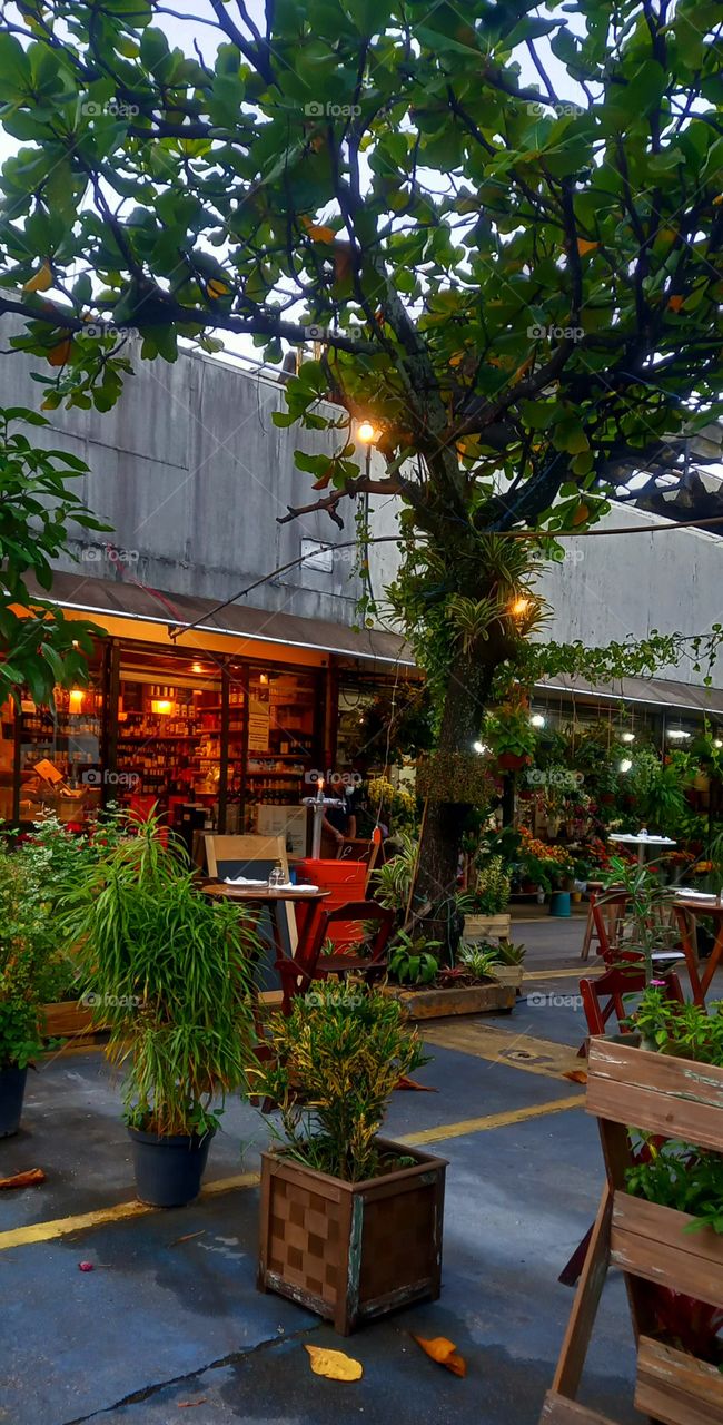 Cantos e Encantos do Rio