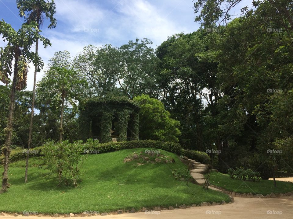 Jardim Botânico 