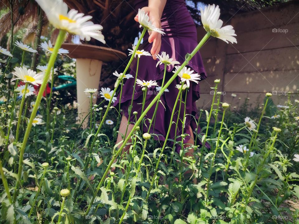 Walking in the garden