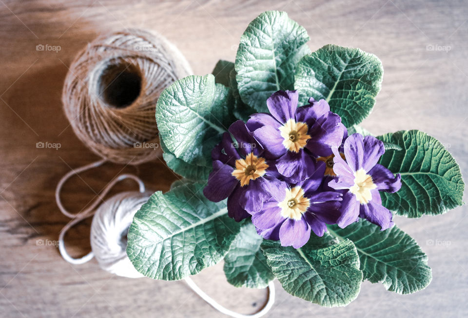 Decoration of purple flowers and ropes on the table