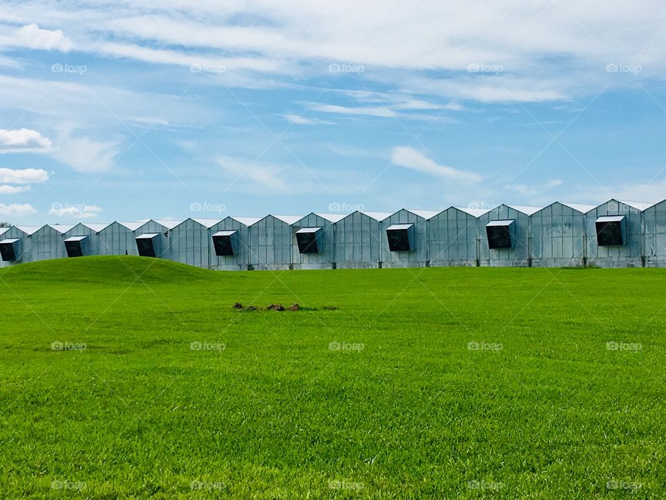 Nursery farm that looks like Teletubbies live there