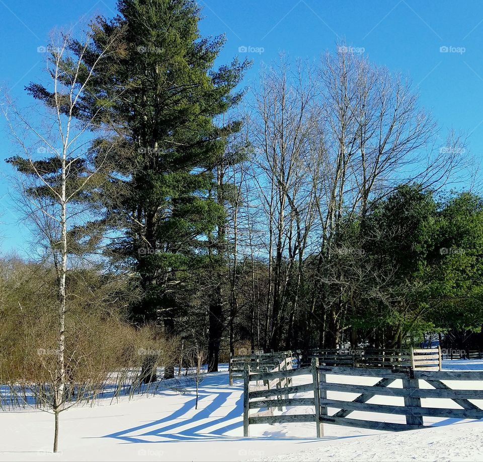 winter fences