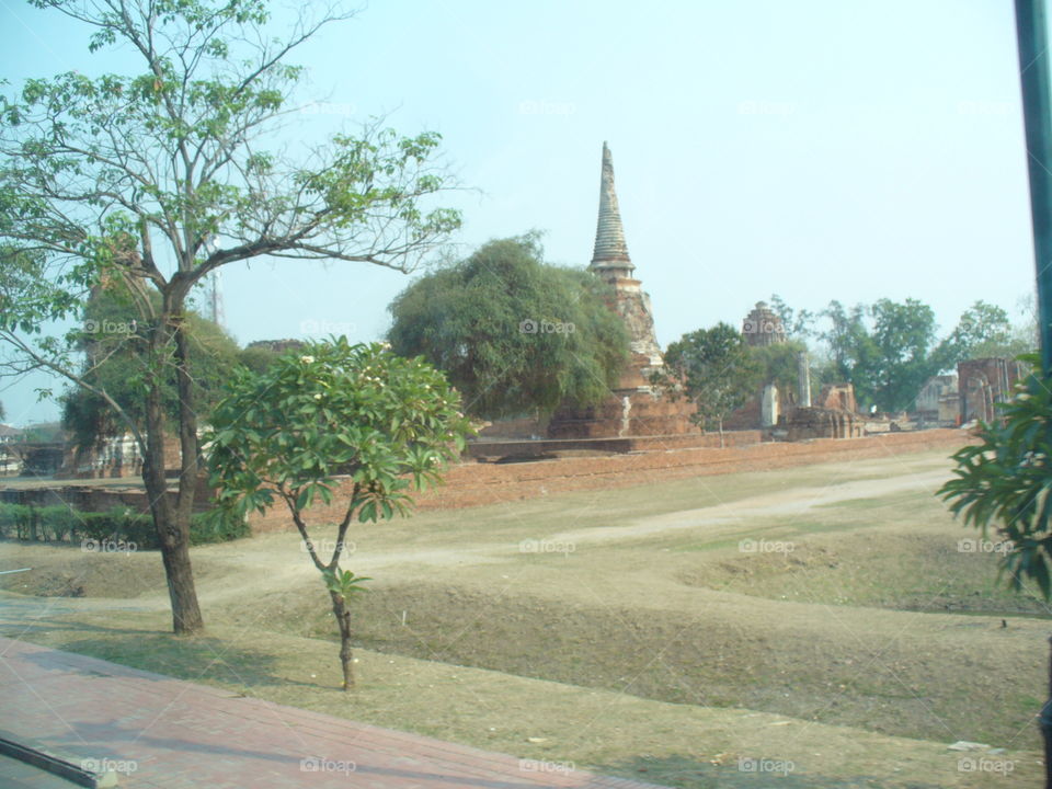 Tree, No Person, Travel, Outdoors, Architecture