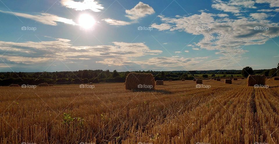 Sunset 🌄 Countryside 🌾 Vacation 🌞 Summer time 🌄 Landscape 🌄