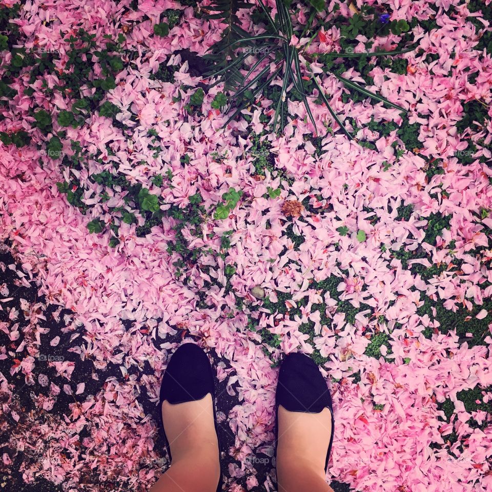 I remember my first Spring in Vancouver. It had rained solid for 4 months and I began to regret making the move to this wet city. Then in just a week, beautiful cherry blossom was everywhere! Instead of trudging through puddles to work, I was bouncing on blossom pillows!