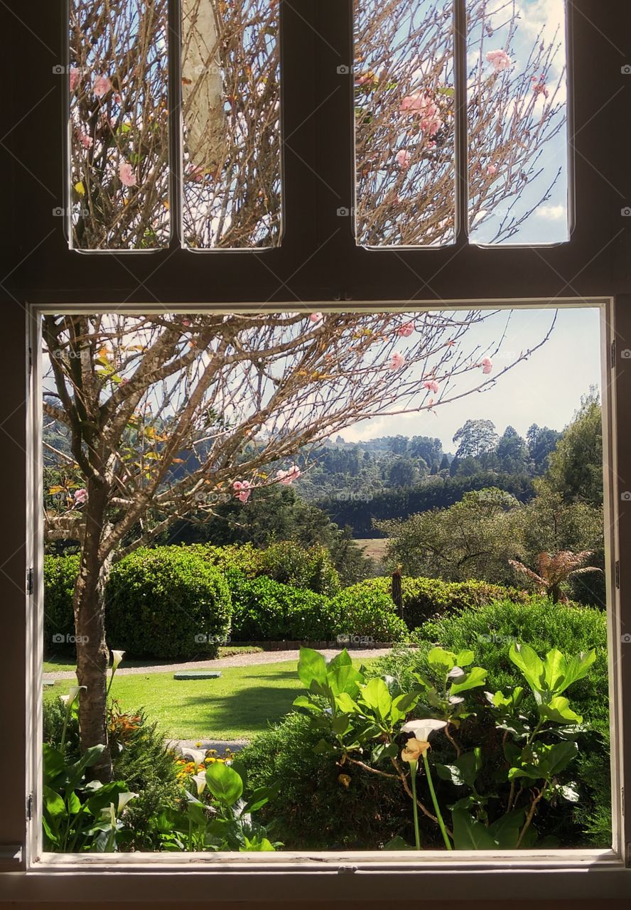 Scenic view of nature from window