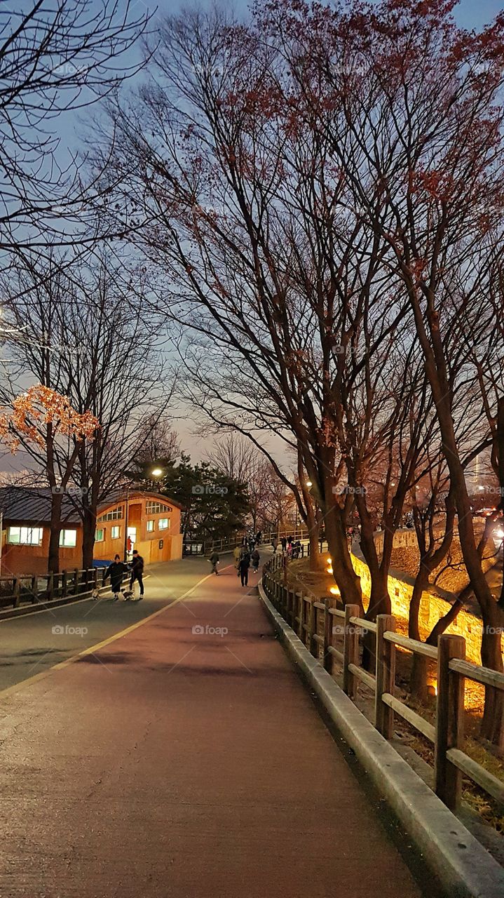 fall dusk road n seoul tower south korea