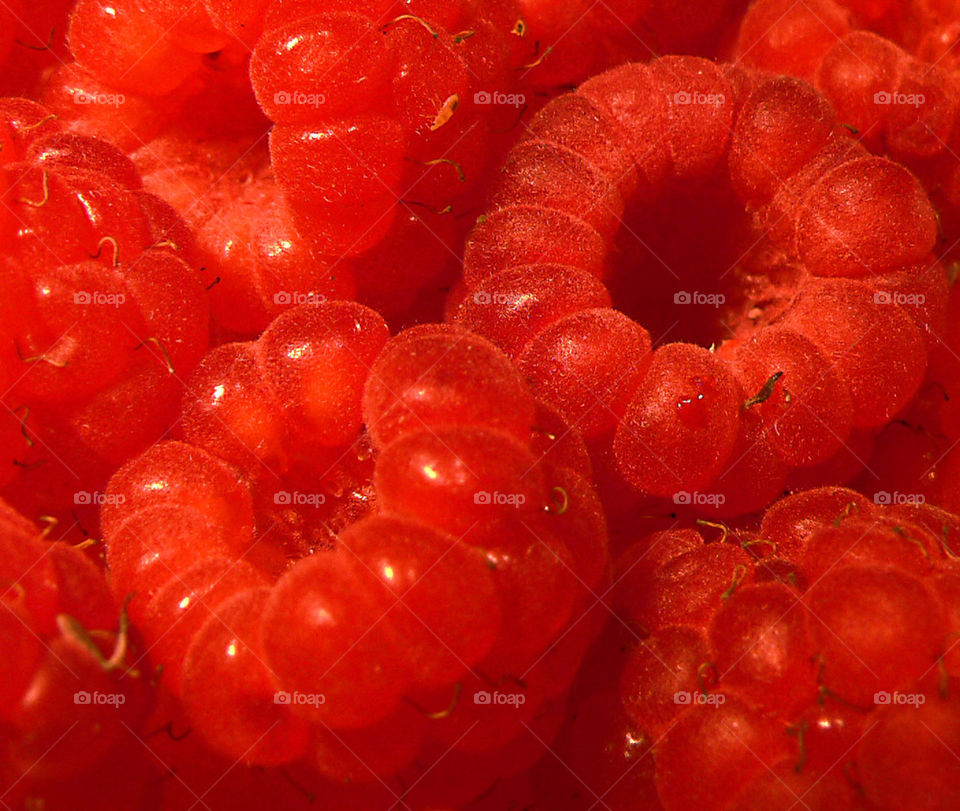 red berry berries raspberry by spidercam