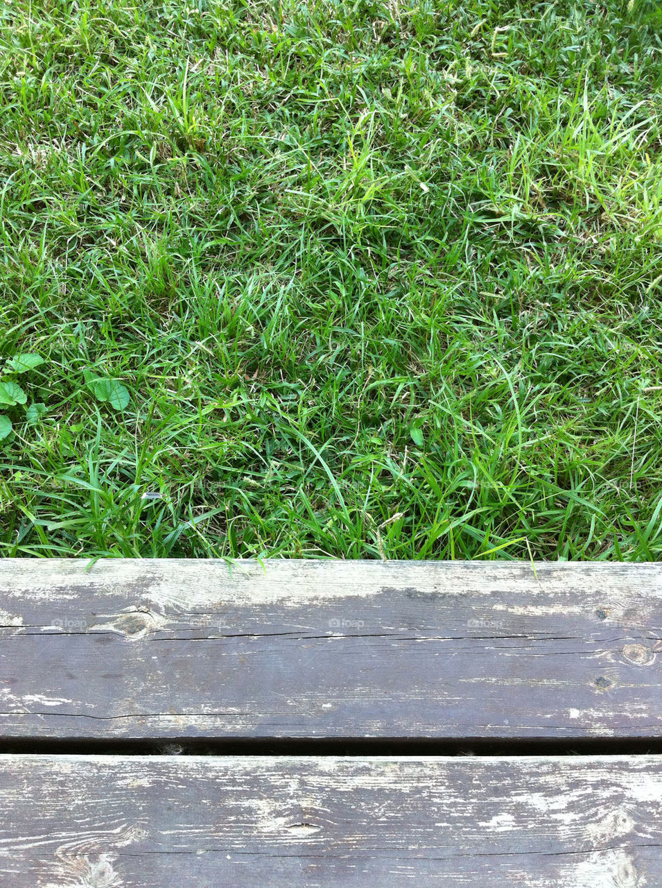 green garden grass steps by barkai