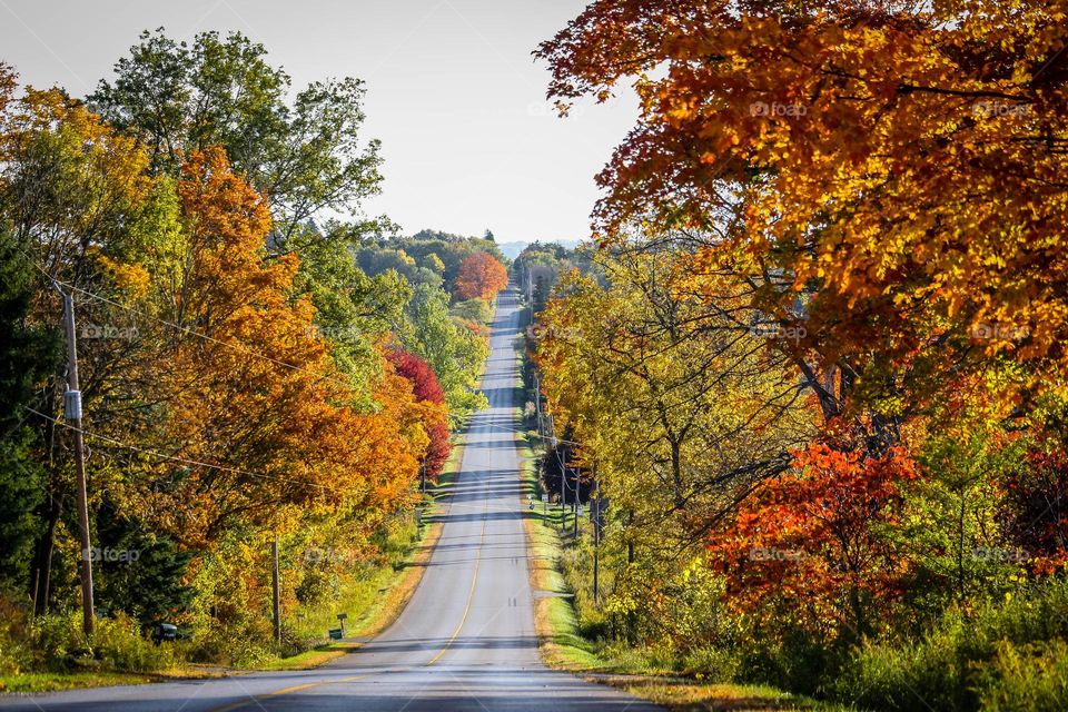 Road trip in autumn