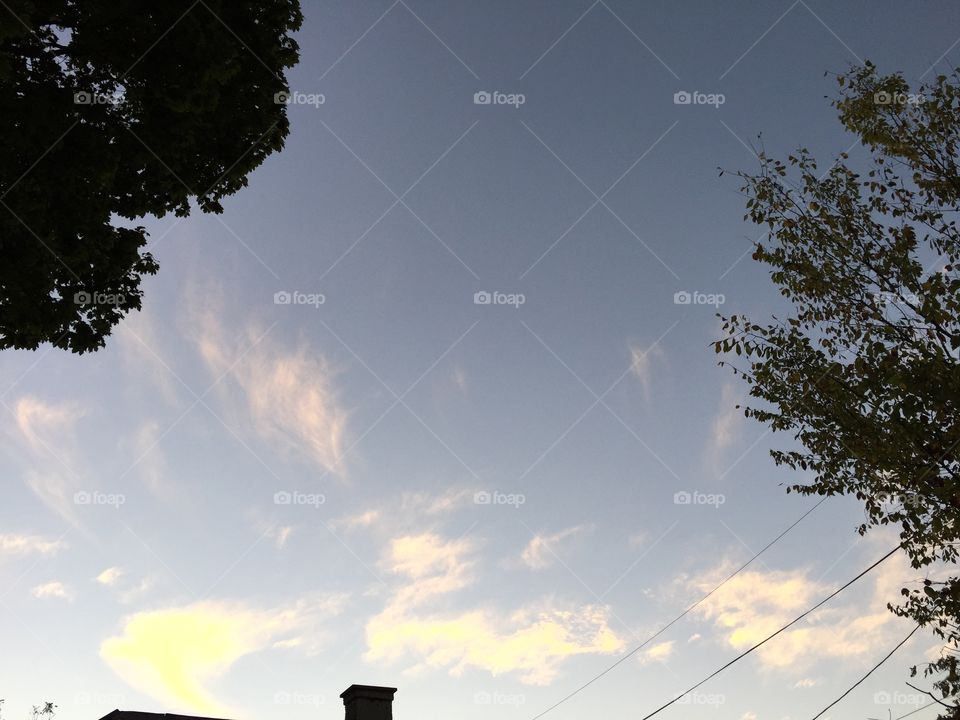 Tree, Sky, No Person, Landscape, Nature