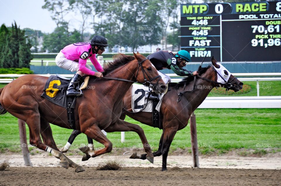 Big Business. Big Business wins another race at Belmont Park. After losing a rein, jockey Alvarez regrouped and passed NF's Destiny. 