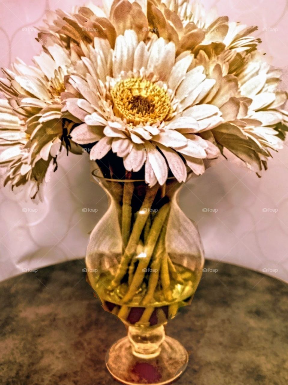white daisies in a glass vase