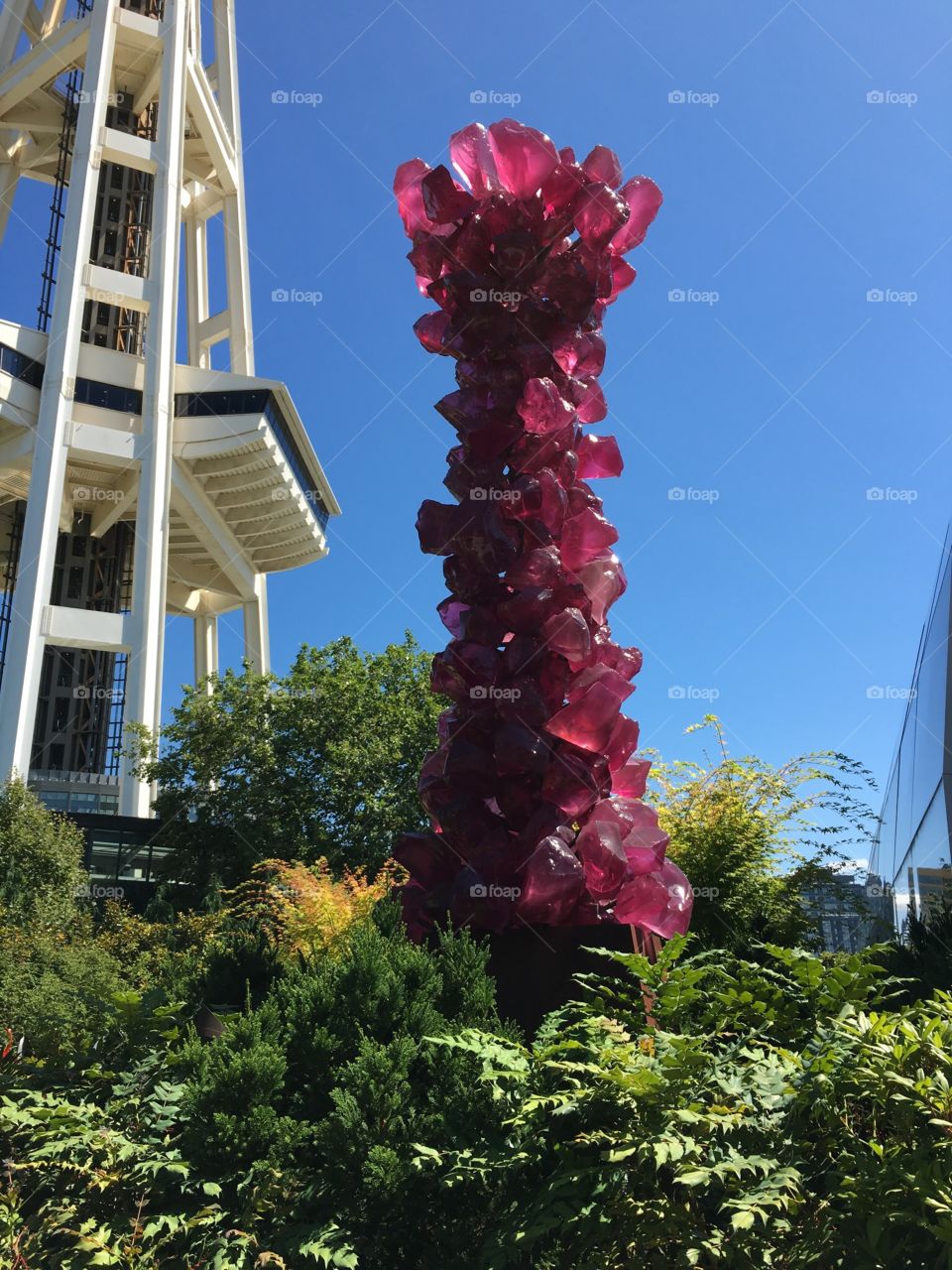 Space Needle and Chihuly Seattle