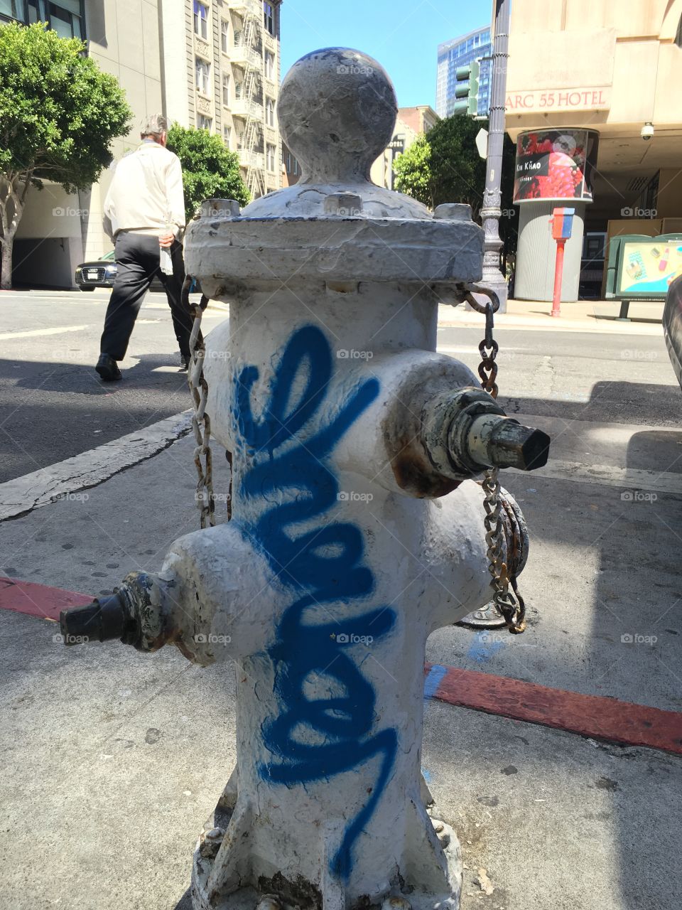 Urban graffiti on a fire hydrant in San Francisco. 