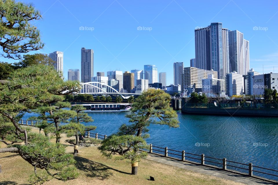 skyscrapers in Japan in a sunny day