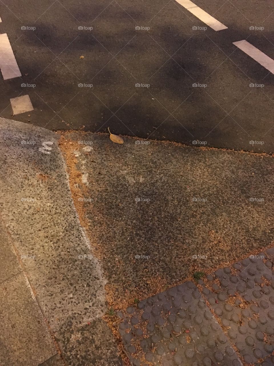 Crossing_pavement and guidance 