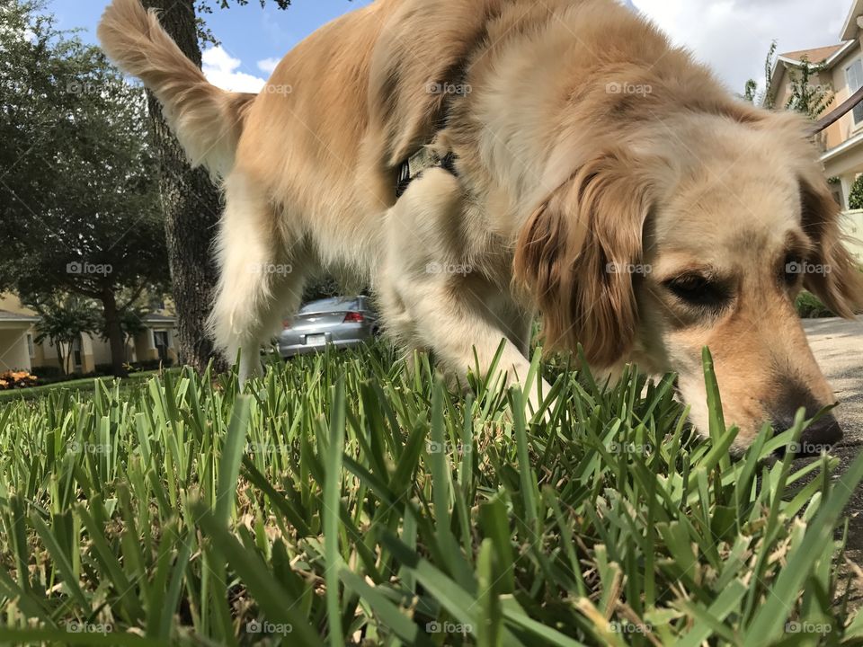 Sniffing out the spot