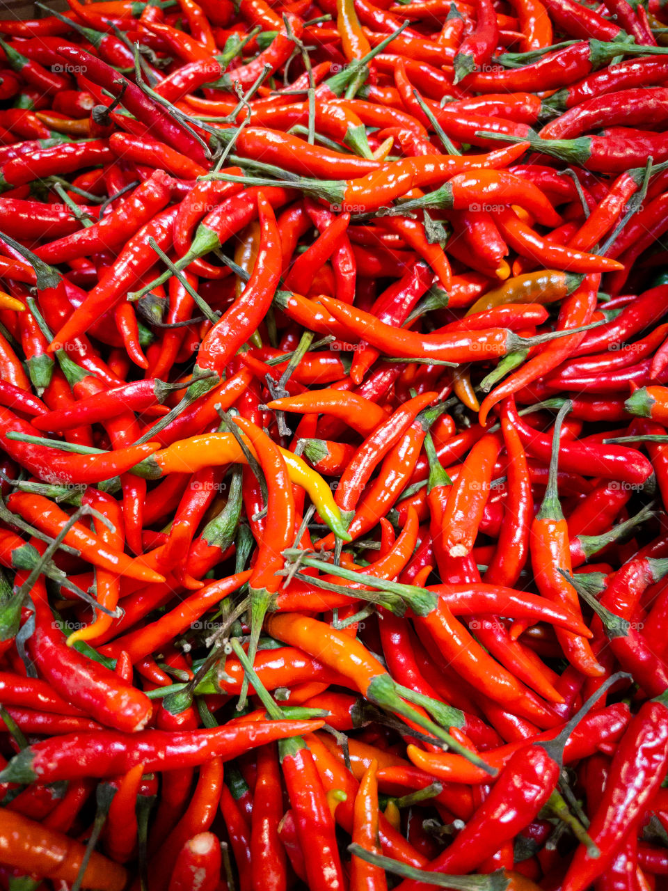 Bright red and orange chili peppers wait for the discerning chef to come buy them and turn them into a delicious dinner!