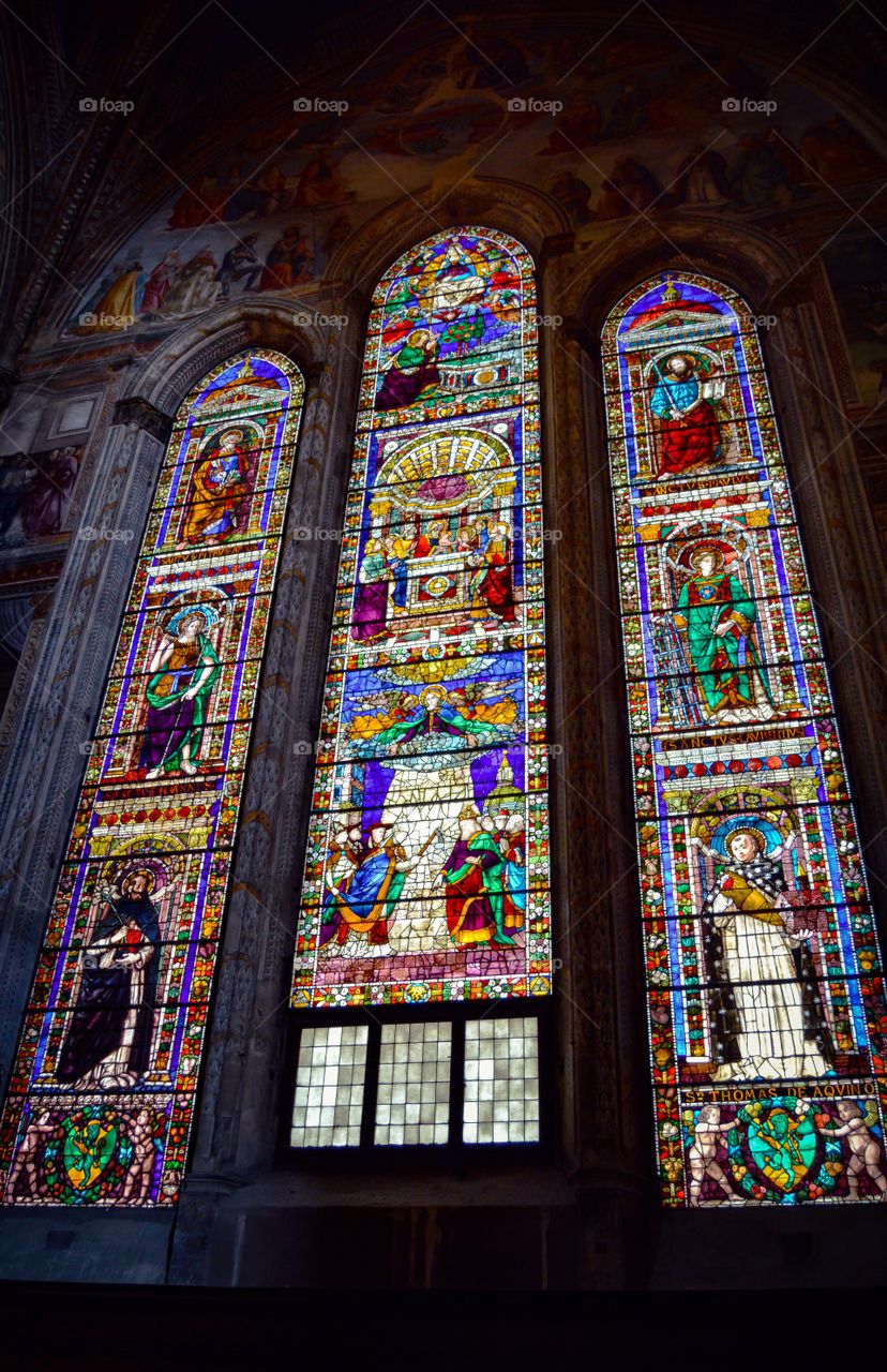Basilica de Santa Maria Novella (Florence - Italy)