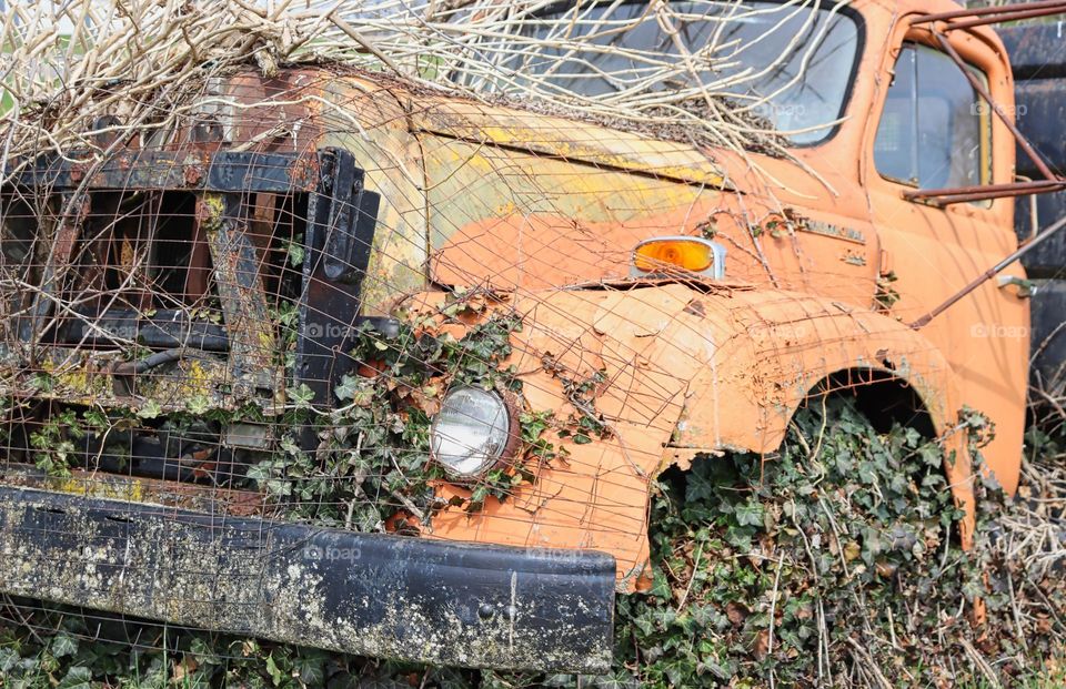 Truck with weeds